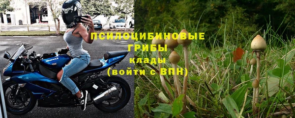 mdma Богородицк
