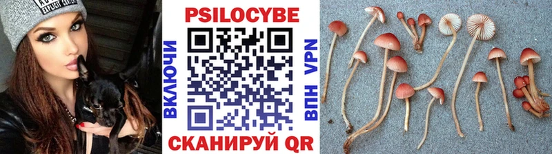 маркетплейс как зайти  Луховицы  Галлюциногенные грибы Psilocybe 