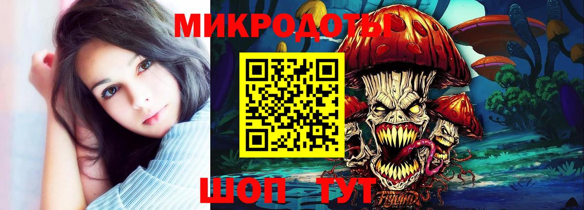 Псилоцибиновые грибы Psilocybe Луховицы